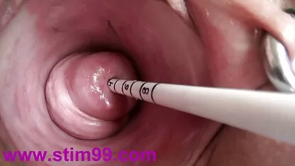 MIRKO22 हिंदी सेक्सी एचडी मूवी युवा लड़की अनुभवी बूढ़ों के साथ गुदा मैथुन की कोशिश करती है